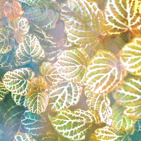 Jungle Leaves 2 Black Ornate Wood Framed Art Print with Double Matting by Allen, Kimberly