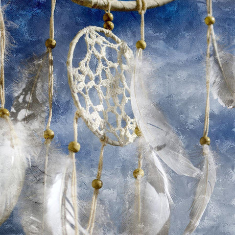 Dream Catcher Black Modern Wood Framed Art Print by Allen, Kimberly