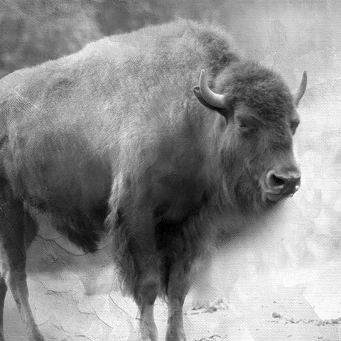 King Black Ornate Wood Framed Art Print with Double Matting by Allen, Kimberly