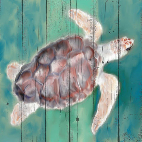 Sea Turtle White Modern Wood Framed Art Print with Double Matting by Allen, Kimberly