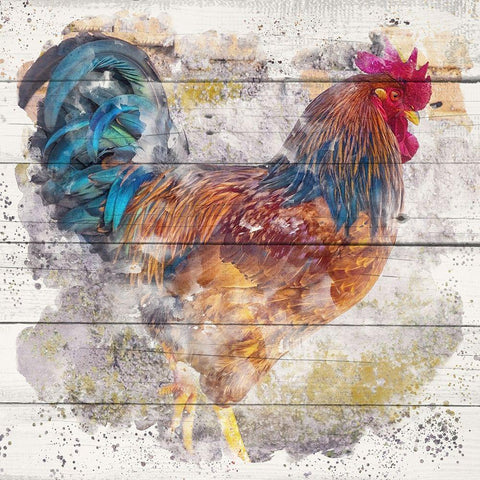 Rooster 1 Black Modern Wood Framed Art Print with Double Matting by Allen, Kimberly