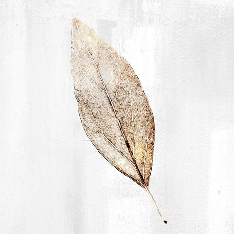 Golden Leaf 1 White Modern Wood Framed Art Print by Allen, Kimberly