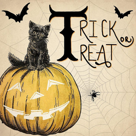 Trick or Treat Cat White Modern Wood Framed Art Print with Double Matting by Allen, Kimberly