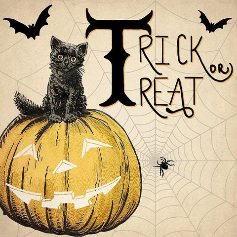 Trick or Treat Cat White Modern Wood Framed Art Print by Allen, Kimberly