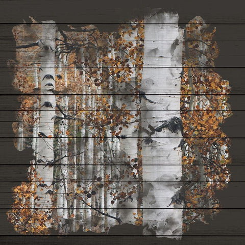 Aspen Wood 1 Gold Ornate Wood Framed Art Print with Double Matting by Allen, Kimberly
