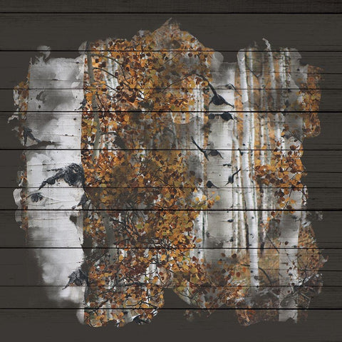 Aspen Wood 2 White Modern Wood Framed Art Print with Double Matting by Allen, Kimberly
