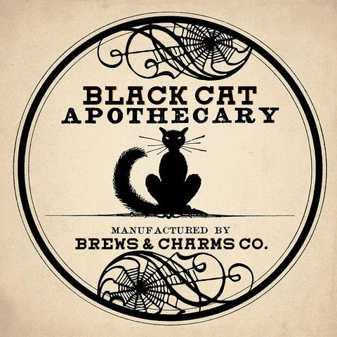 Black Cat Black Modern Wood Framed Art Print by Allen, Kimberly