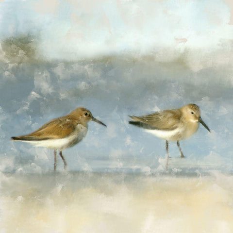 Sandpipers Black Modern Wood Framed Art Print by Allen, Kimberly