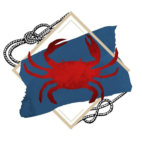 Seashore 1 White Modern Wood Framed Art Print with Double Matting by Allen, Kimberly