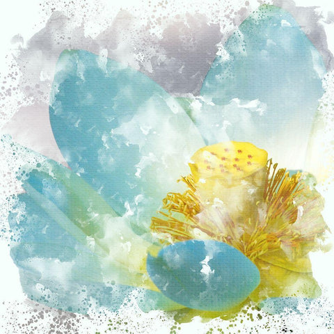 Teal Lotus 2 Black Modern Wood Framed Art Print with Double Matting by Allen, Kimberly