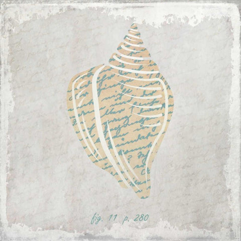 Stone Shell 1 White Modern Wood Framed Art Print by Allen, Kimberly