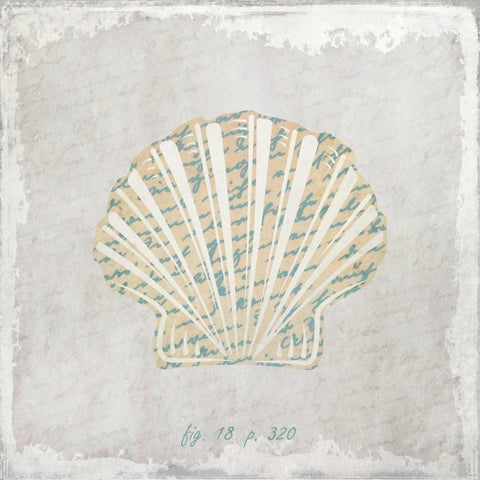 Stone Shell 2 White Modern Wood Framed Art Print with Double Matting by Allen, Kimberly