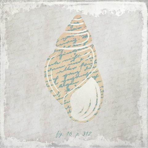 Stone Shell 4 Gold Ornate Wood Framed Art Print with Double Matting by Allen, Kimberly