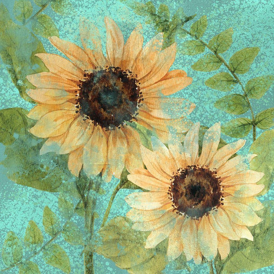 Image Only