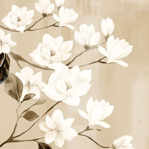 Magnolia White Modern Wood Framed Art Print by Allen, Kimberly