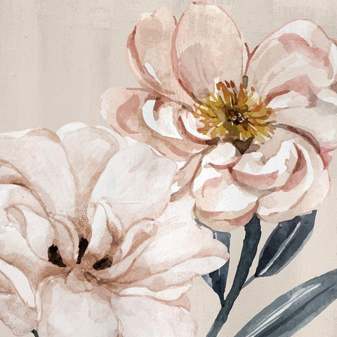 Spring Bloom 1 White Modern Wood Framed Art Print with Double Matting by Allen, Kimberly