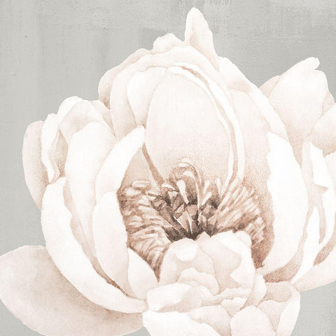 Neutral Peony 1 Black Modern Wood Framed Art Print with Double Matting by Allen, Kimberly