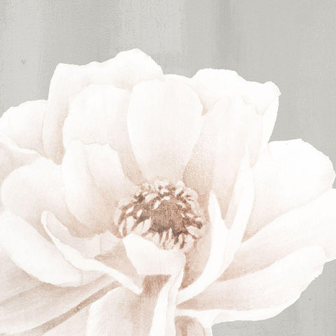 Neutral Peony 2 Black Modern Wood Framed Art Print by Allen, Kimberly