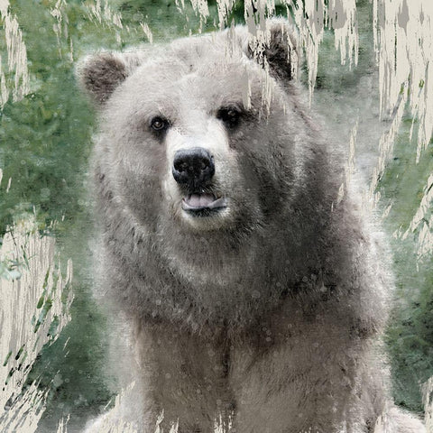 Wildlife 1 White Modern Wood Framed Art Print by Allen, Kimberly