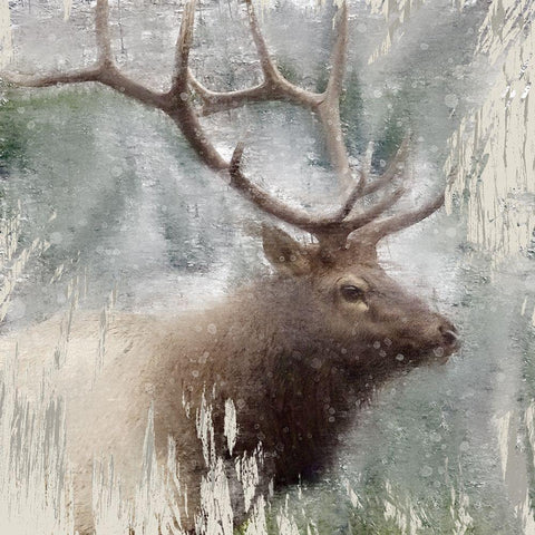 Wildlife 2 Gold Ornate Wood Framed Art Print with Double Matting by Allen, Kimberly