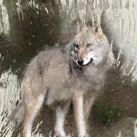 Wildlife 3 White Modern Wood Framed Art Print by Allen, Kimberly