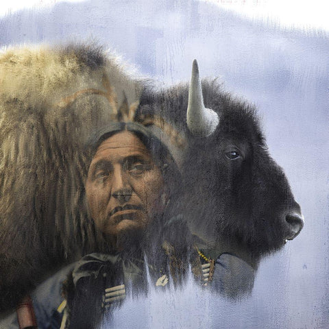 Chief White Modern Wood Framed Art Print by Allen, Kimberly