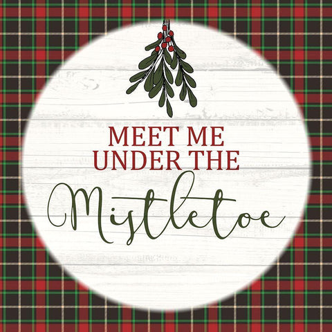 Mistletoe White Modern Wood Framed Art Print with Double Matting by Allen, Kimberly