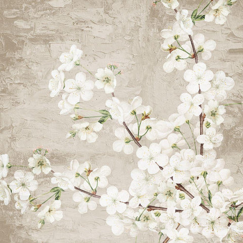 Blossoms White Modern Wood Framed Art Print with Double Matting by Allen, Kimberly
