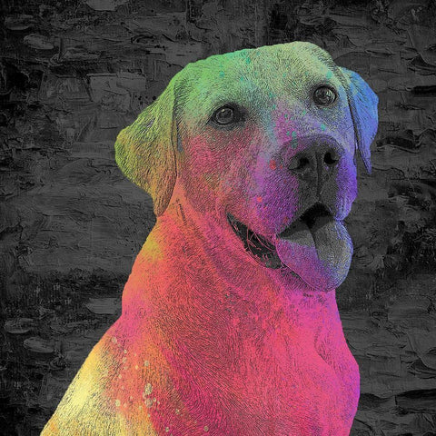 Lab Black Modern Wood Framed Art Print by Allen, Kimberly