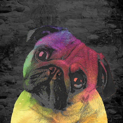 Pug Gold Ornate Wood Framed Art Print with Double Matting by Allen, Kimberly