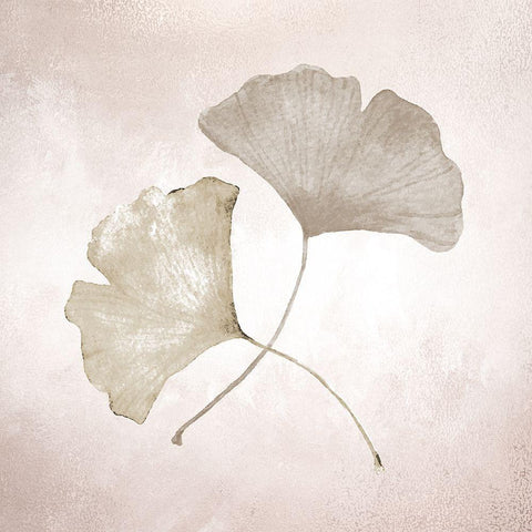 Ginkgo 1 White Modern Wood Framed Art Print with Double Matting by Allen, Kimberly