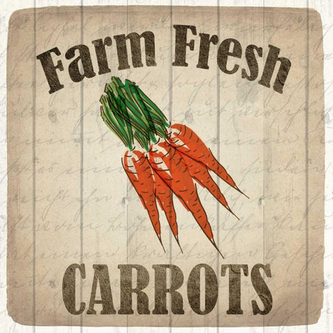 Farm Fresh Carrots White Modern Wood Framed Art Print with Double Matting by Allen, Kimberly