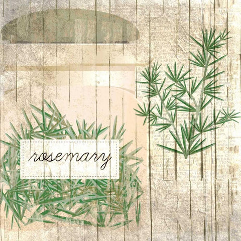 Rosemary Black Modern Wood Framed Art Print by Allen, Kimberly