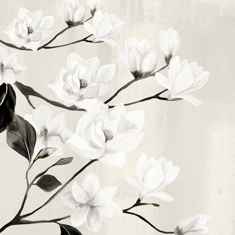 Magnolias Black Ornate Wood Framed Art Print with Double Matting by Allen, Kimberly