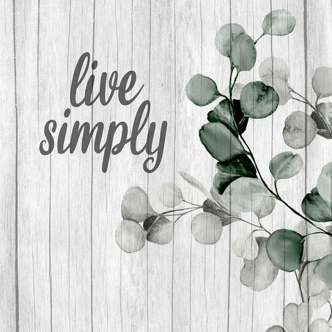 Well and Simply 2 Wood White Modern Wood Framed Art Print by Allen, Kimberly