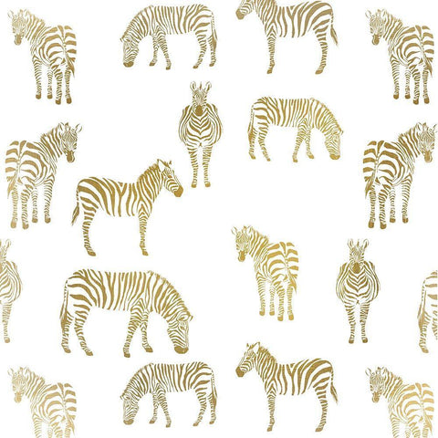 Zebra Zebra Black Ornate Wood Framed Art Print with Double Matting by Allen, Kimberly