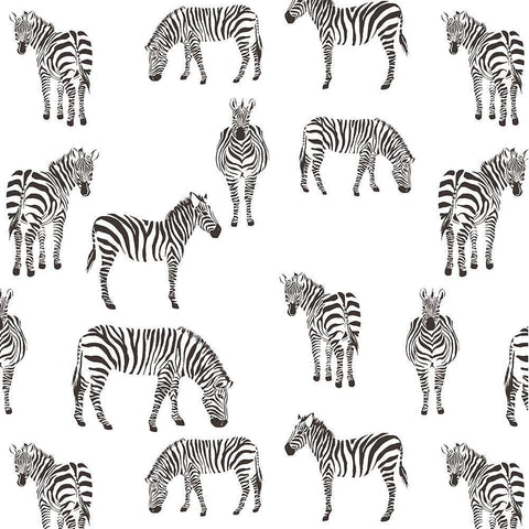 Zebra Zebra V2 White Modern Wood Framed Art Print with Double Matting by Allen, Kimberly