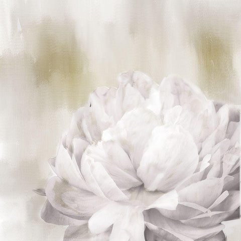 Hidden White Modern Wood Framed Art Print by Allen, Kimberly