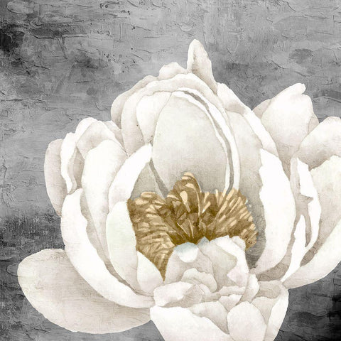 Peony 2 White Modern Wood Framed Art Print by Allen, Kimberly