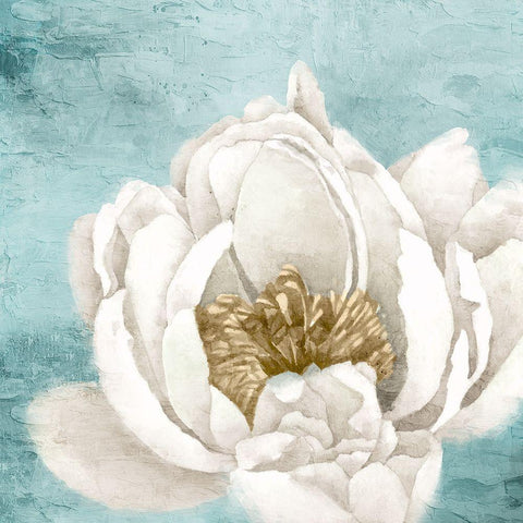 White Peony 1 Gold Ornate Wood Framed Art Print with Double Matting by Allen, Kimberly
