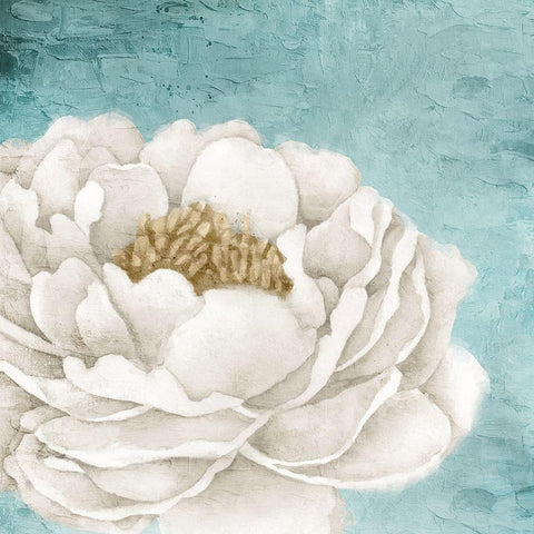 White Peony 2 White Modern Wood Framed Art Print by Allen, Kimberly