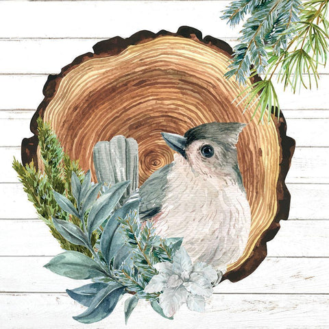 Winter Birds 1 White Modern Wood Framed Art Print by Allen, Kimberly