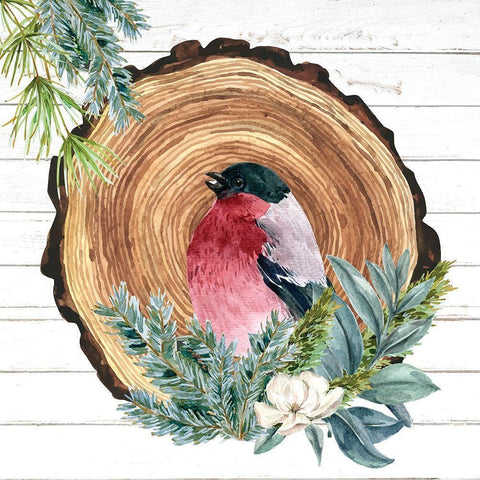 Winter Birds 3 Gold Ornate Wood Framed Art Print with Double Matting by Allen, Kimberly