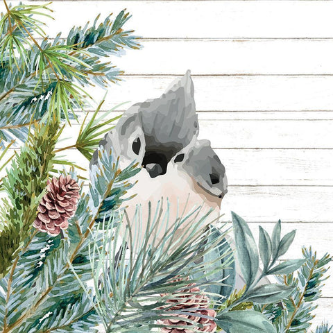 Winter Birds 4 White Modern Wood Framed Art Print by Allen, Kimberly