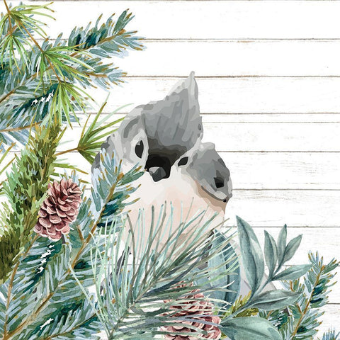 Winter Birds 4 White Modern Wood Framed Art Print with Double Matting by Allen, Kimberly