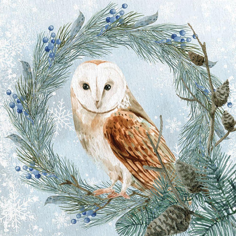 Winter Owl 1 Gold Ornate Wood Framed Art Print with Double Matting by Allen, Kimberly