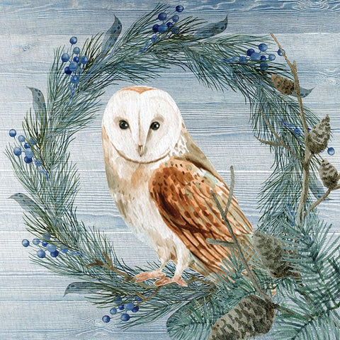 Winter Owl Blues 1 Black Modern Wood Framed Art Print by Allen, Kimberly