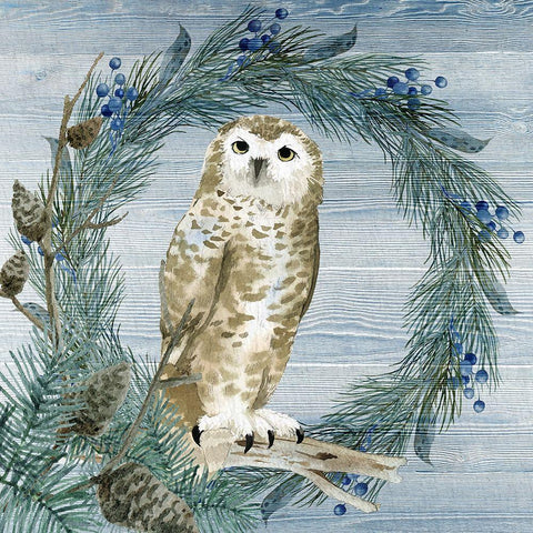 Winter Owl Blues 3 White Modern Wood Framed Art Print by Allen, Kimberly