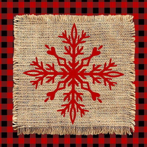 Snowflake Winter 1 V2 White Modern Wood Framed Art Print by Allen, Kimberly