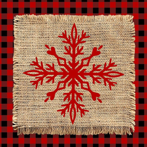 Snowflake Winter 1 V2 Black Ornate Wood Framed Art Print with Double Matting by Allen, Kimberly